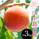 【ふるさと納税】【2026年出荷分先行予約】福島県産 川中島白桃 約3kg (9~12玉) 斎藤 常昭 新鮮もも直送 白桃 大玉 伊達の桃 桃 フルーツ 果物 もも モモ momo F20C-606