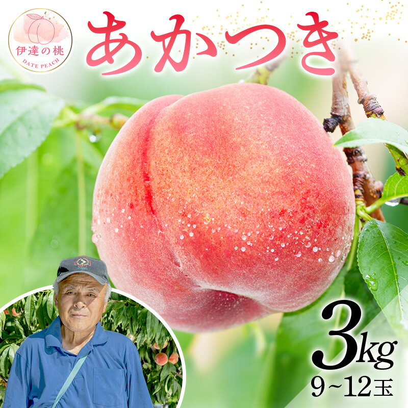 【ふるさと納税】《先行予約》【新鮮もも直送】 桃 あかつき 3kg（9～12玉） もも モモ 果物 フルーツ 産地直送 国産 名産 お取り寄せ 予約 ふるさと納税 福島県 伊達市 F20C-607のサムネイル