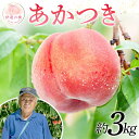 【ふるさと納税】【2026年出荷分先行予約】 福島県産 あかつき 約3kg 斎藤 常昭 伊達の桃 桃 フルーツ 果物 もも モモ momo F20C-607