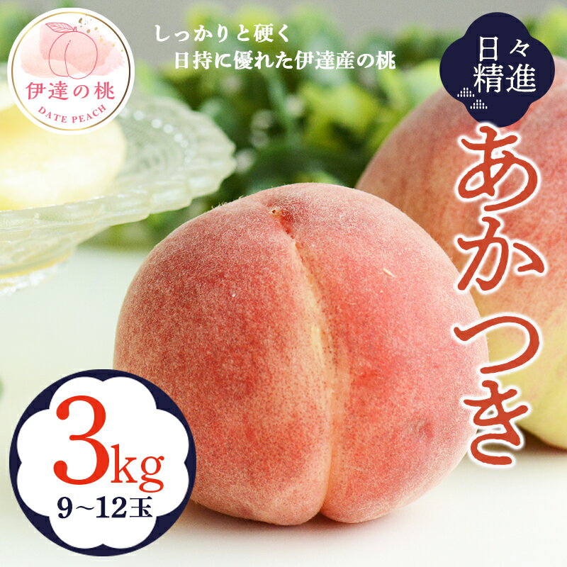 【ふるさと納税】《先行予約》【日々精進】 伊達市産桃 あかつき 3kg （9～12玉） 桃 もも モモ 果物 フルーツ 産地直送 国産 名産 お取り寄せ 予約 ふるさと納税 福島県 伊達市 F20C-608のサムネイル