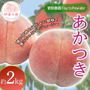 【ふるさと納税】【2026年出荷分先行予約】福島県産 あかつき 約2kg (5~8玉) 菅野農園FruitsProvider 伊達の桃 桃 フルーツ 果物 もも モモ momo F20C-611