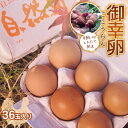 11位! 口コミ数「6件」評価「4.83」平飼い卵 とれたて発送「御幸卵（ごこうらん）」36玉入り 伊達市 福島県 国産 養鶏場直送 卵 たまご 玉子 生卵 鶏卵 F20C-619