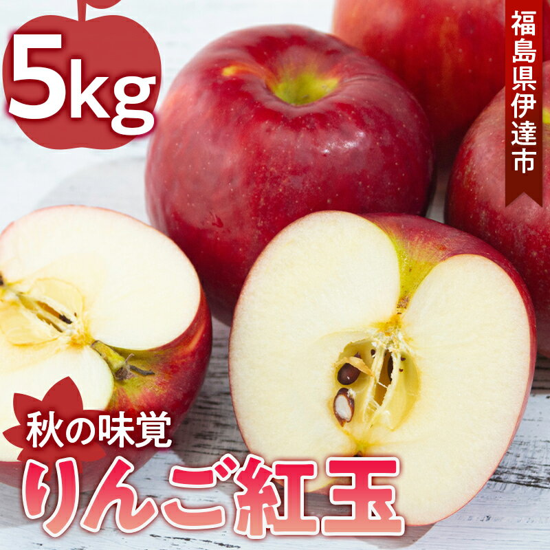 【ふるさと納税】《あかい果樹園》秋の味覚 りんご 紅玉 5kg（16〜23玉）福島県 伊達市 林檎 リンゴ フルーツ 産地直送 果物 F20C-620のサムネイル
