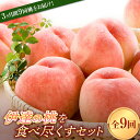 【ふるさと納税】福島の桃 定期便 9回で9種類の桃が届く！伊