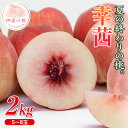 【ふるさと納税】【2026年出荷分先行予約】福島県産 幸茜 約2kg (5~8玉) 斎藤果樹園 さちあかね 大玉 固め 伊達の桃 桃 フルーツ 果物 もも モモ momo F20C-635