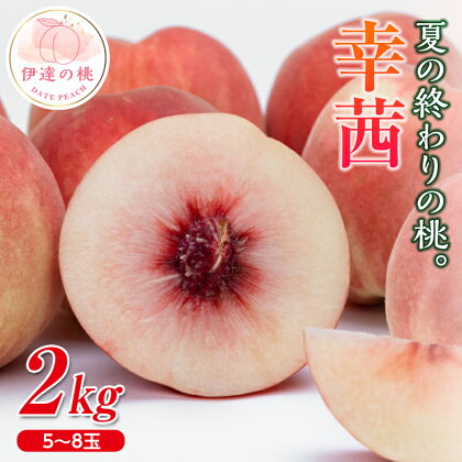 《先行予約》 福島の桃 夏の終わりの桃 幸茜 2kg（5～8玉） 桃 もも モモ さちあかね 旬 果物 フルーツ 産地直送 国産 お取り寄せ 予約 ふるさと納税 福島県 伊達市 F20C-635