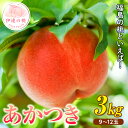 《先行予約》 福島の桃  あかつき 3kg（9～12玉） 桃 もも モモ 果物 フルーツ 産地直送 国産 名産 お取り寄せ 予約 ふるさと納税 福島県 伊達市 F20C-637