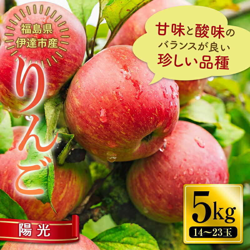 【ふるさと納税】秋の味覚 りんご 陽光 （ようこう） 5kg（14～23玉） 福島県 伊達市 林檎 リンゴ フルーツ 果物 産地直送 珍しい F20C-652のサムネイル