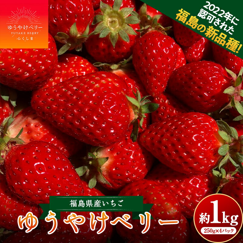 【ふるさと納税】＜限定＞新品種のいちご 福島県 オリジナル品種「ゆうやけベリー」約1kg（250g×4パック）イチゴ 苺 フルーツ 果物 伊達市 F20C-678