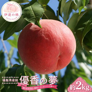 【ふるさと納税】【2026年出荷分先行予約】福島県産 優香の夢 約2kg (6~9玉) 高橋もも園 伊達市で開発 数量限定 ゆうかのゆめ 伊達の桃 桃 フルーツ 果物 もも モモ momo F20C-729