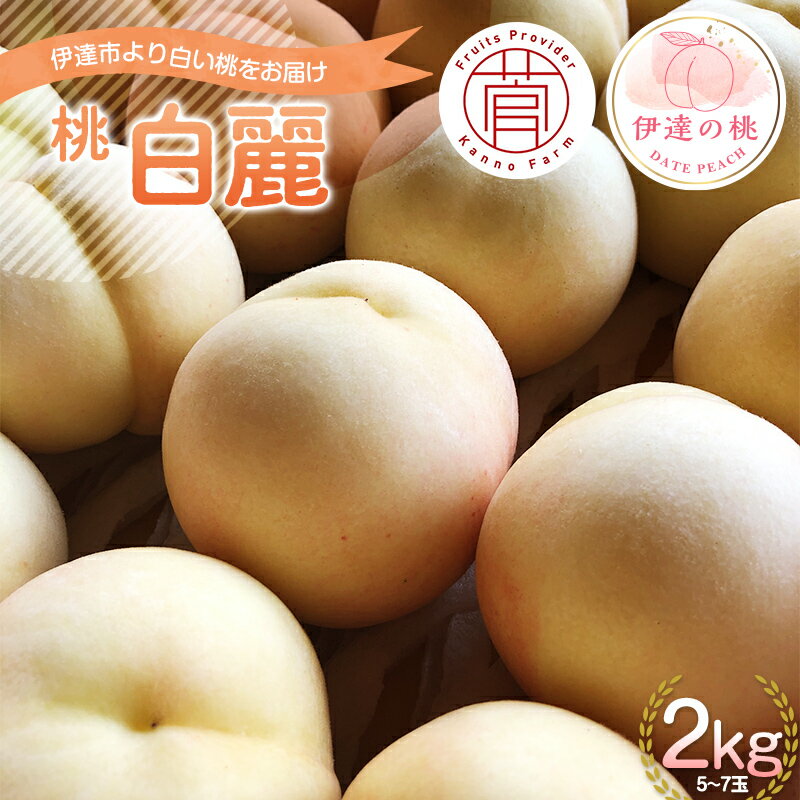 [先行予約] 福島の桃 [菅野農園FruitsProvider] 桃 白麗 (はくれい) 2kg (5〜7玉) もも 福島県伊達市 F20C-730