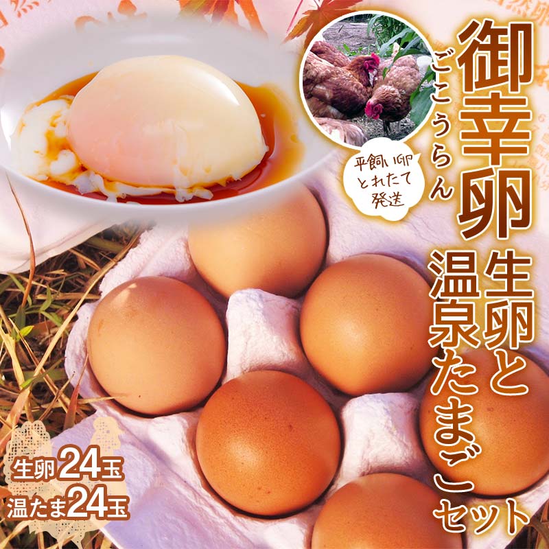 【ふるさと納税】平飼い卵 とれたて発送「御幸卵」の生卵と温泉たまごセット(生卵24玉、温たま24玉) 伊達市 福島県 国産 養鶏場直送 卵 たまご 玉子 生卵 鶏卵 温泉たまご F20C-760