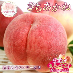 【ふるさと納税】 \選べる容量/【2026年出荷分先行予約】福島県産 さちあかね 約3kg 約5kg ふくしま未来農業協同組合 特秀 透過式光センサー選別 糖度12度以上 固め 伊達の桃 桃 フルーツ 果物 もも モモ momo F20C-779var