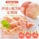 【ふるさと納税】【先行予約】3回桃が届く!伊達な桃3種の定期便(小・中・大)桃 各2kg~5kg 果物 フルーツ 桃 モモ もも 福島県 伊達市 フルーツ 果物 もも モモ momo F20C-788var その1