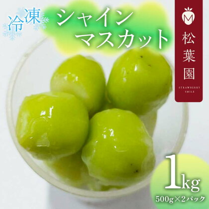 冷凍シャインマスカット 1Kg（500g×2パック）F20C-811