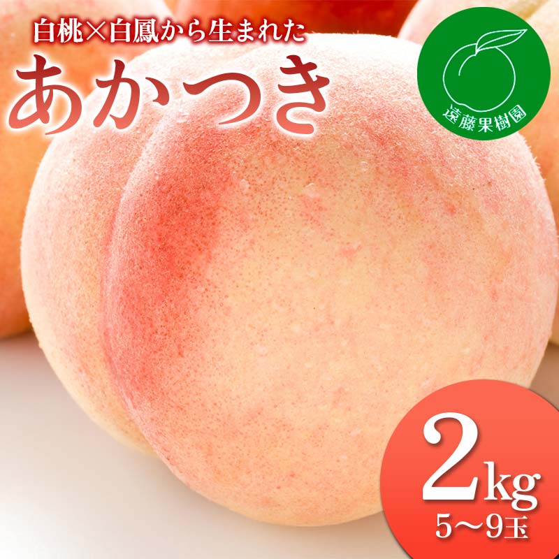 11位! 口コミ数「0件」評価「0」《先行予約》 白桃×白鳳から生まれた「あかつき」2kg（5～9玉）桃 もも モモ 果物 フルーツ ふるさと納税 福島県 伊達市 F20C-8･･･ 