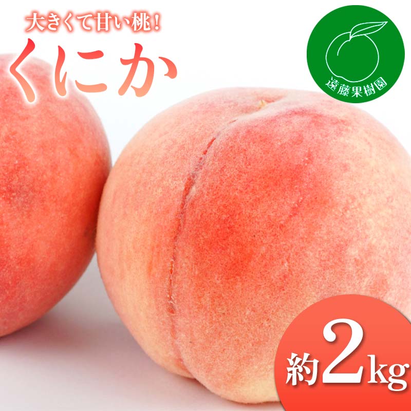 [2026年出荷分先行予約]福島県産 くにか 約2kg (5〜9玉) 遠藤果樹園 伊達の桃 フルーツ 果物 もも モモ momo F20C-830