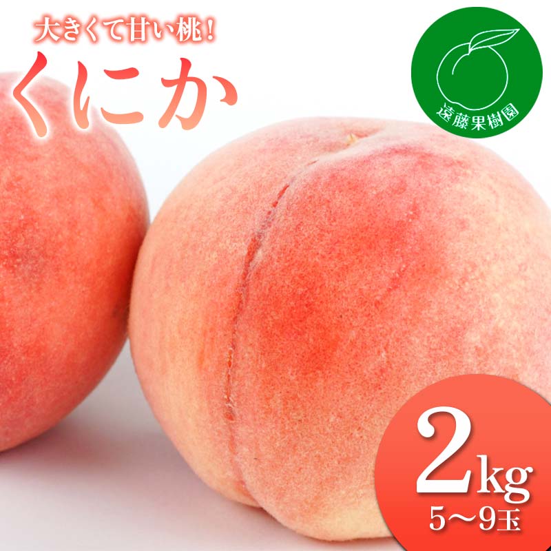 [先行予約] 大きくて甘い桃!「くにか」2kg(5〜9玉)桃 もも モモ 果物 フルーツ ふるさと納税 福島県 伊達市 F20C-830