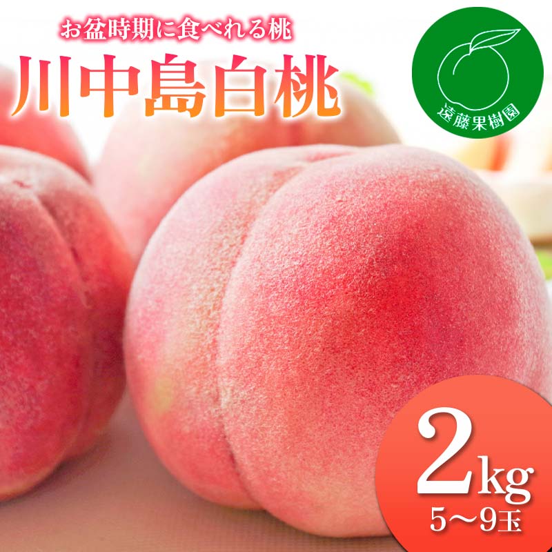 【ふるさと納税】《先行予約》 お盆時期に食べれる桃「川中島白桃」2kg（5～9玉）桃 もも モモ 果物 フルーツ ふるさと納税 福島県 伊達市 F20C-831