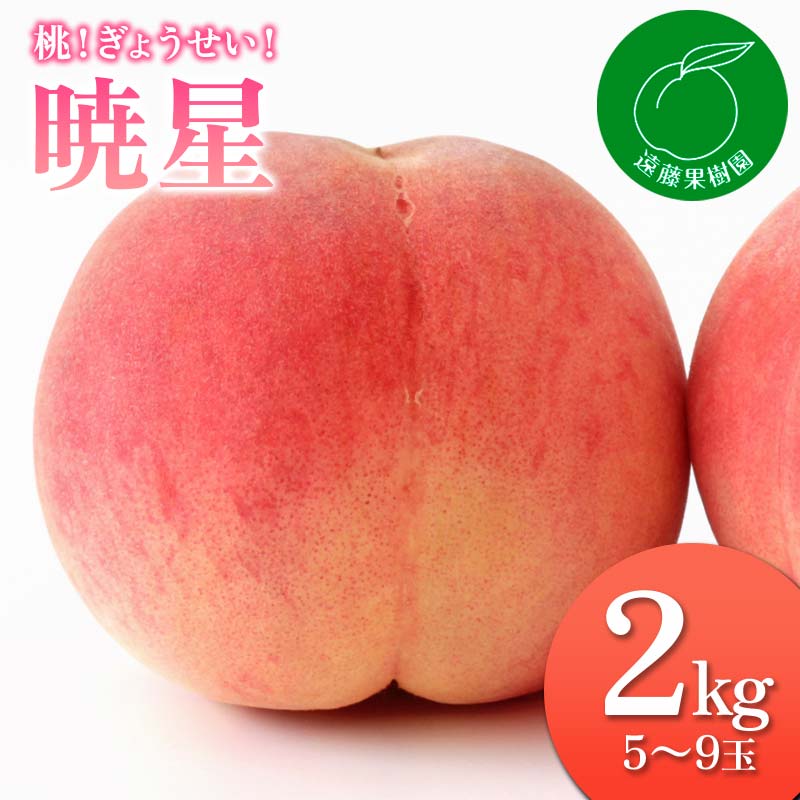 【ふるさと納税】《先行予約》 桃！ぎょうせい！「暁星」2kg（5～9玉）桃 もも モモ 果物 フルーツ ふるさと納税 福島県 伊達市 F20C-832