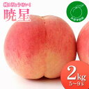 【ふるさと納税】《先行予約》 桃！ぎょうせい！「暁星」2kg