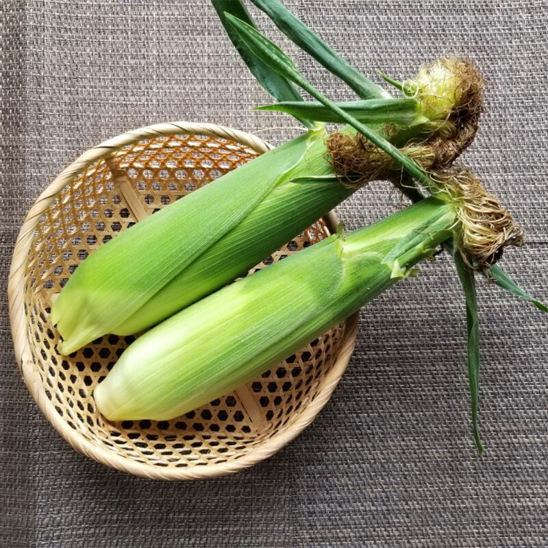 【ふるさと納税】カラフル　ミニトマトの宝石箱　36粒　県内共通返礼品【配送不可地域：離島・北海道・沖縄県・信越、北陸・東海・近畿・中国・四国・九州】【1518358】