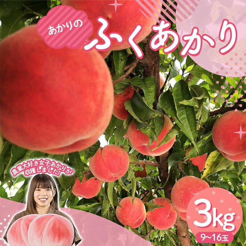 【ふるさと納税】 農業女子が贈る桃 あかりのふくあかり 3kg（9～16玉） フルーツ 果物 もも モモ momo F20C-945