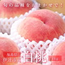 【ふるさと納税】2025年出荷分 先行予約 旬の桃 伊達市産 どれが届くかお楽しみ白桃 1kg(3~5玉)2025年7月上旬~2025年9月中旬出荷 伊達の桃 桃 もも モモ 名産品 果物 くだもの フルーツ 国産 産地直送 F20C-946