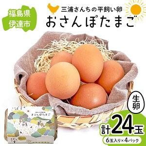 【ふるさと納税】 三浦さんちの平飼い卵 おさんぽたまご 計24玉 伊達市 福島県 国産 養鶏場直送 卵 たまご 玉子 生卵 鶏卵 F20C-950