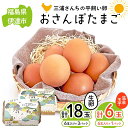 【ふるさと納税】 三浦さんちの平飼い卵 おさんぽたまご(生卵と温泉玉子セット) 生卵18玉入り、温泉玉子6玉入り(計24玉) 伊達市 福島県 国産 養鶏場直送 卵 たまご 玉子 生卵 鶏卵 温泉たまご F20C-954