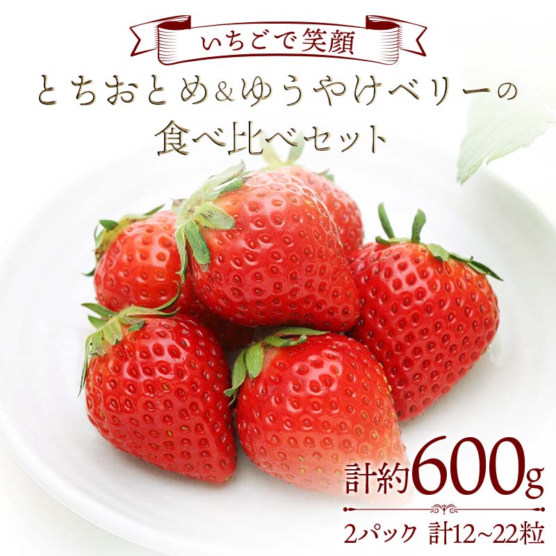 【ふるさと納税】【いちごで笑顔】とちおとめ＆ゆうやけベリーの食べ比べセット 約300g×2パック プレミアムいちご 苺 食べ比べ F20C-984のサムネイル