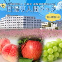 【ふるさと納税】 【旬の果物つき!】北福島医療センター日帰り人間ドック チケット F20C-990