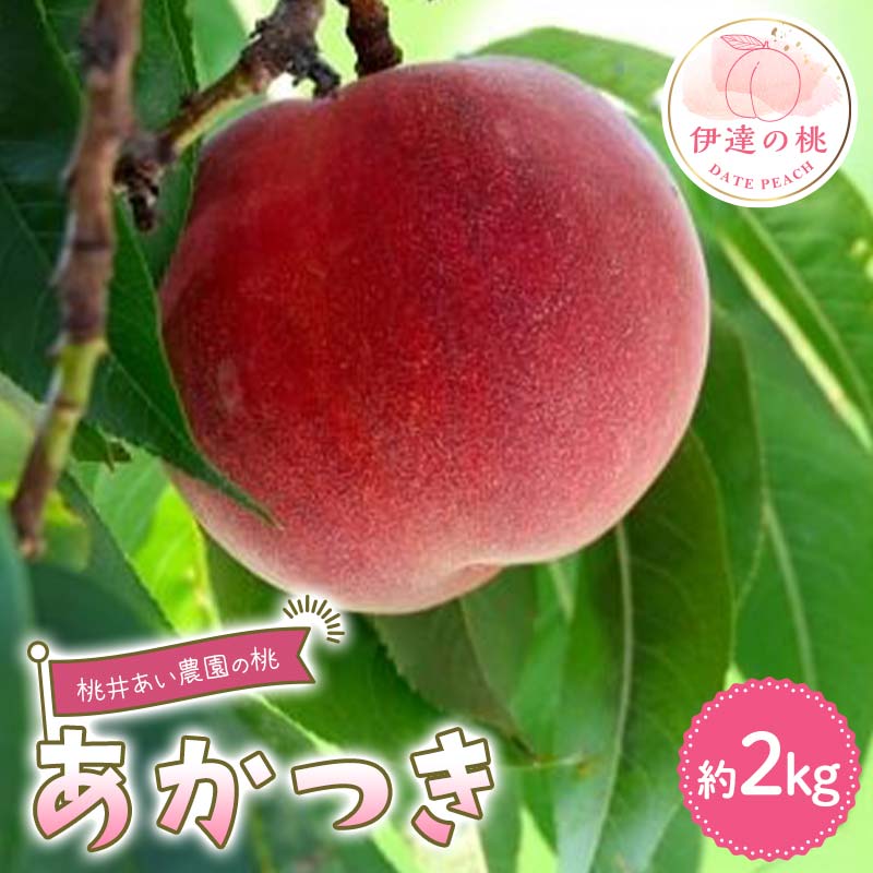桃井あい農園の桃 あかつき 約2kg(6~8玉)桃 もも モモ 果物 F21C-205