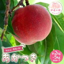 【ふるさと納税】\選べる容量/【2026年出荷分先行予約】福島県産 あかつき 約2kg 約3kg 約5kg 桃井あい農園 伊達の桃 桃 フルーツ 果物 もも モモ momo F21C-205var