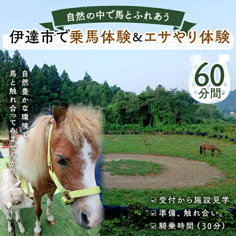 【ふるさと納税】自然の中で馬とふれあう 伊達市で乗馬体験＆エサやり体験【60分】 馬 うま 乗馬 初心..