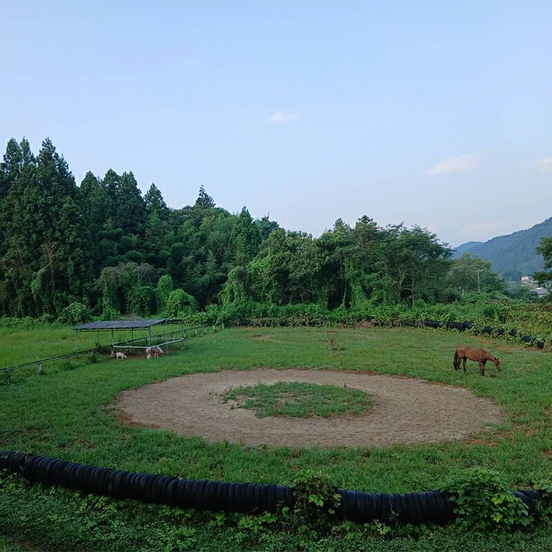 【ふるさと納税】自然の中で馬とふれあう 伊達市で乗馬体験＆エサやり体験【60分】 馬 うま 乗馬 初心者 自然 体験 F21C-245