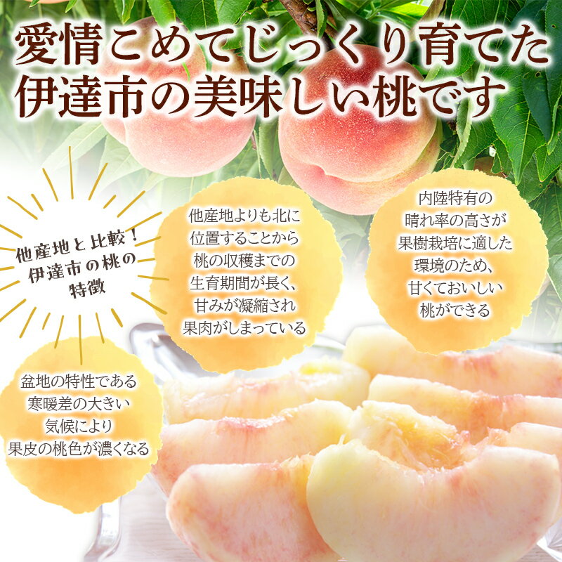 【ふるさと納税】《先行予約》 福島の桃 容量が選べる 伊達市産 桃 1.5kg 3kg 5kg【透過式光センサー選別】 あかつき特秀 桃 もも モモ 名産品 果物 フルーツ 国産 産地直送 ふるさと納税 予約 福島県 伊達市 F20C-278var