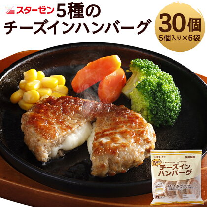 5種のチーズインハンバーグ 合計30個 5個入り×6袋 チーズインハンバーグ ハンバーグ 惣菜 おかず 小分け スターゼン 冷凍 送料無料