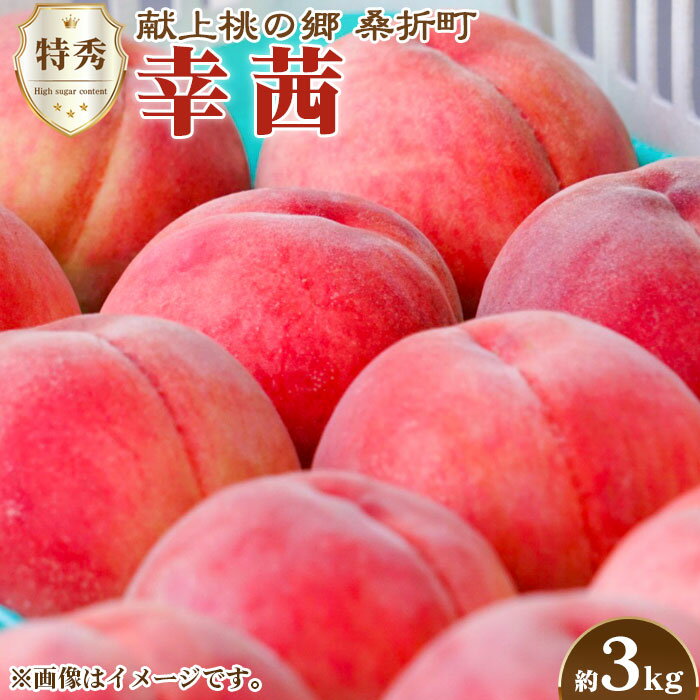 もも(幸茜) 特秀3kg 桑折町産 JAふくしま未来 桃 / モモ 果物 フルーツ 送料無料 福島県 特産品