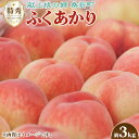 ※配送日時指定のご希望や事前連絡等の対応はいたしかねますので予めご了承の程宜しくお願い致します。※返礼品の送付は、福島県桑折町外にお住まいの方に限らせていただきます。 製品仕様 名称 桃 規格・内容 3kg相当×1箱（8～12玉） 産地 国産（福島県） 賞味期限 発送日から1週間程度 発送時期 令和6年7月中旬～7月下旬 商品説明 ふくあかりは「川中島白桃」と「もも福島8号（ゆうぞら×ちよひめ）」を交配して育成され、2016年に品種登録された桃です。あかつきよりも7～10日早く出荷が始まり、強い甘さが特徴で弾力のある果肉が特徴の桃です。 ※お申込時の決済手段は、『オンライン決済限定』となります。 ＜その他の払込方法をご選択いただいても受付が出来ませんので何卒ご了承ください。＞ 本返礼品の主要な部分は、桑折町にて生産、製造または加工したものが占めております。 注意事項 【数量限定300セット】 ・寄附のご入金確認が取れたものから発送期間内に順次発送いたします。受取日の指定はいただけませんので予めご了承ください。 ・商品到着後は冷蔵庫や風通しの良い涼しいところで保存し、出来るかぎり早めにお召し上がりください。 ・沖縄・離島配送不可 製造者・ 販売者 ふくしま未来農業協同組合　桑折営農センター ・ふるさと納税よくある質問はこちら ・寄付申込みのキャンセル、返礼品の変更・返品はできません。あらかじめご了承ください。「ふるさと納税」寄附金は、下記の事業を推進する資金として活用してまいります。 寄附を希望される皆さまの想いでお選びください。 1.社会福祉・児童福祉に関する事業 2.保健衛生に関する事業 3.農林業振興に関する事業 4.商工振興・観光振興に関する事業 5.社会資本整備に関する事業 6.消防・防災に関する事業 7.教育に関する事業 8.災害復旧に関する事業 9.町長おまかせ ■寄附金受領証明書 入金確認後、注文内容確認画面の【注文者情報】に記載の住所に約1〜2ヶ月程度で発送いたします。 ■ワンストップ特例申請書 「ふるさと納税ワンストップ特例制度」をご利用頂く場合、当自治体へ「ワンストップ特例申請書」を直接郵送・ご持参頂く必要があります。ワンストップ特例申請書は、ご希望の場合受領書と一緒に送付していますが、直ちにご利用の場合、ご自身で下記ダウンロードページから申請書をダウンロードいただき、印刷したものをご利用ください。申請書のダウンロードはこちらhttps://event.rakuten.co.jp/furusato/guide/onestop.html 〒969-1692 福島県桑折町大字谷地字道下22番地7 桑折町役場　総務課財政係　宛て