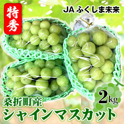 【ふるさと納税】No.172 【令和7年9月頃発送】ぶどう(シャインマスカット)特秀2kg 桑折町産 JAふくしま未来 葡萄 / ブドウ 果物 フルーツ 送料無料 福島県 特産品