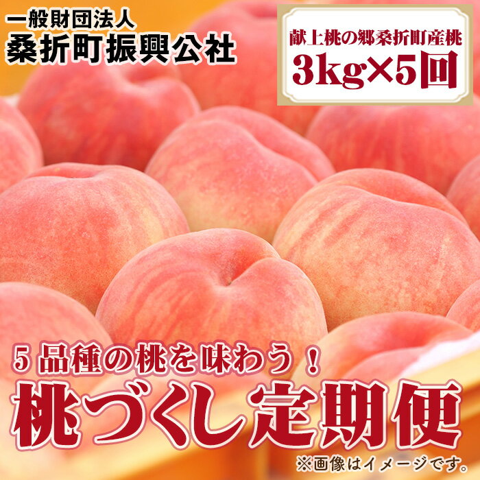 【ふるさと納税】No.199 桃づくし定期便【献上桃の郷桑折町産桃3kg×5回】5品種の桃を味わう！ ／ もも...