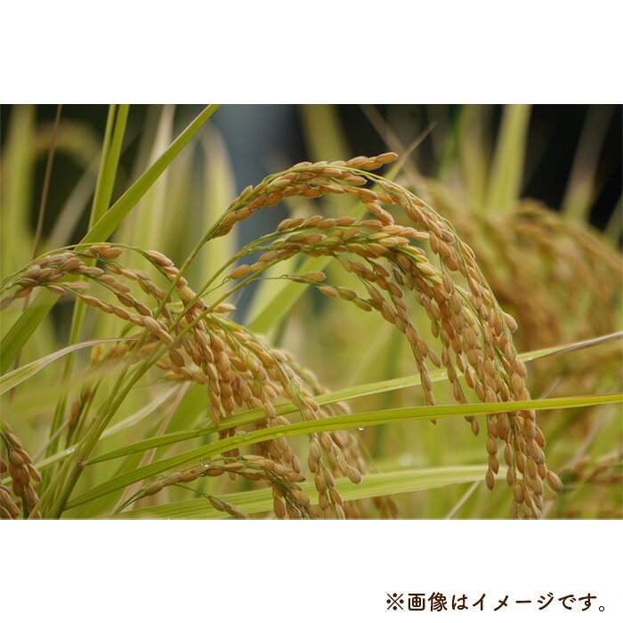 福島県桑折町の画像3
