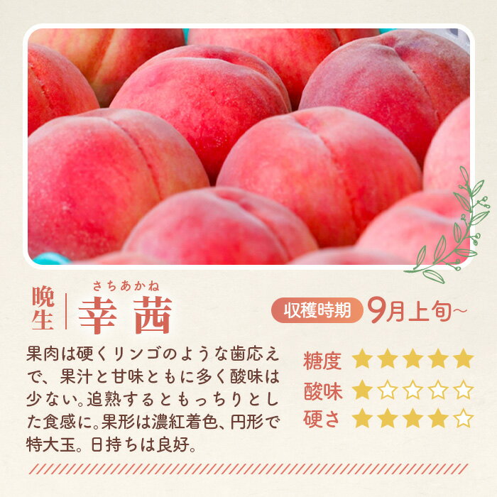 福島県桑折町の画像2