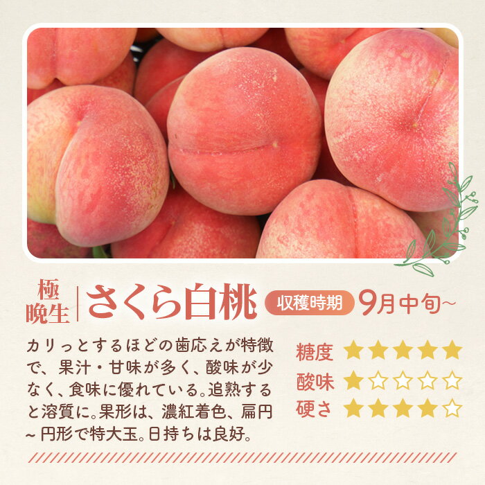 福島県桑折町の画像2