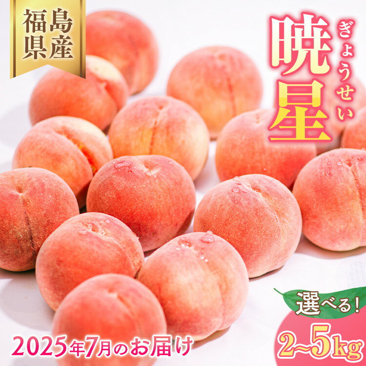 【ふるさと納税】【選べる容量】◆2025年夏発送◆暁星〜産直・桃・約2kg 約5kg ※離島への配送不可 ※2025年7月上旬〜7月下旬頃に順次発送予定|先行予約 予約 数量限定 桃 もも モモ 果物 くだもの フルーツ 詰め合わせ 福島 ふくしま