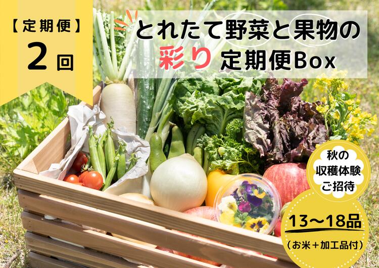 【ふるさと納税】【定期便2回】★個数限定★とれたて野菜と果物の彩り定期便Box【お米・加工品付き】 13品目から18品目の豪華セット（収穫体験付き）※着日指定不可※沖縄・離島への配送不可※2023年8月中旬～12月中旬頃に順次発送予定のサムネイル