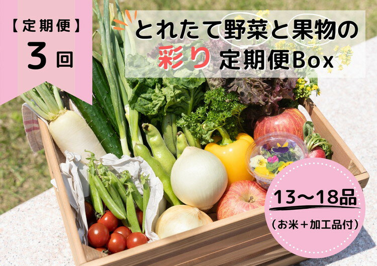 【ふるさと納税】【限定】【定期便3回】とれたて野菜と果物の彩り定期便Box【お米 加工品付き】 13～18品目の豪華セット※着日指定不可※沖縄・離島への配送不可※2024年4月中旬～2025年3月中旬頃に順次発送予定のサムネイル