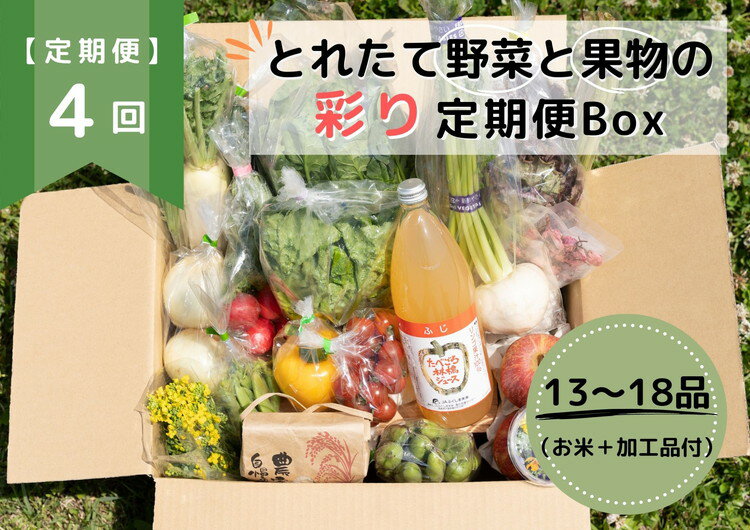 18位! 口コミ数「0件」評価「0」【限定】【定期便4回】とれたて野菜と果物の彩り定期便Box【お米 加工品付き】 13～18品目の豪華セット※着日指定不可※沖縄・離島への配送･･･ 