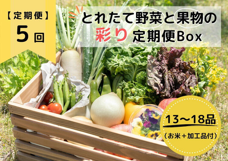 3位! 口コミ数「0件」評価「0」【限定】【定期便5回】とれたて野菜と果物の彩り定期便Box【お米 加工品付き】 13～18品目の豪華セット※着日指定不可※沖縄・離島への配送･･･ 